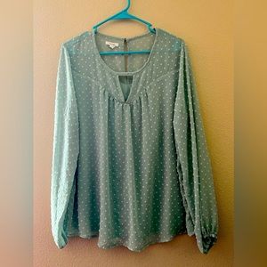 Long sleeve pastel green blouse